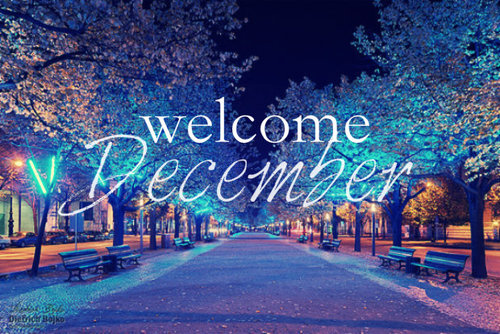 Image result for picture of december
